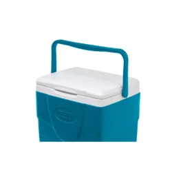 Coleman Chiller™ 9-Quart Portable Cooler -Coleman 2160823 4